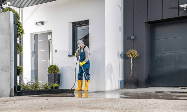 Best Spring Cleaning  in Sartell, MN